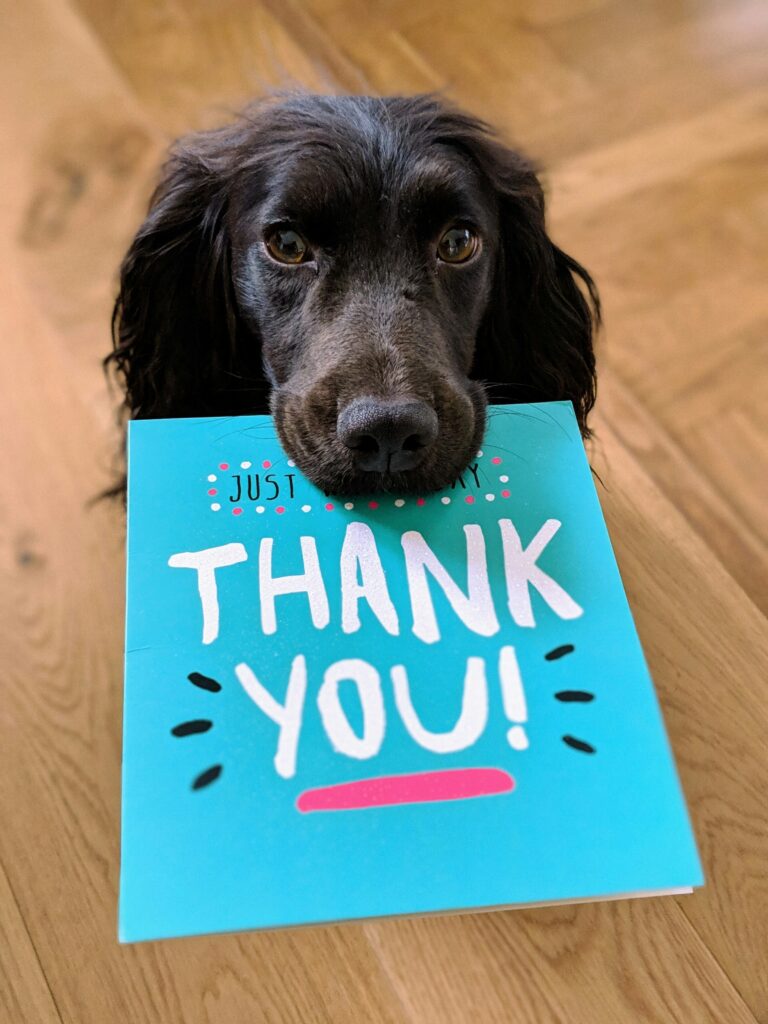 dog-biting-thank-you-mail-paper