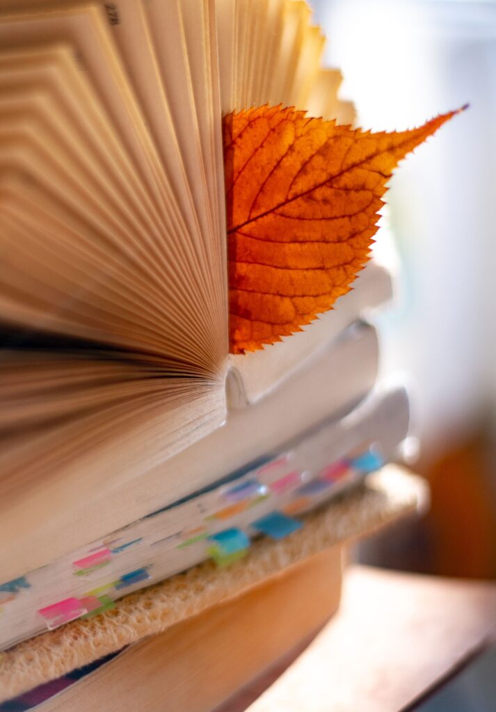 Close-up of a book with an autumn leaf as a bookmark, symbolizing fall reading.